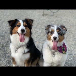 Meet your Posher, Wendy